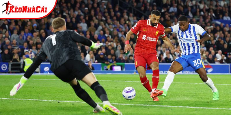 Brighton vs Liverpool có thành tích đối đầu khá cân bằng