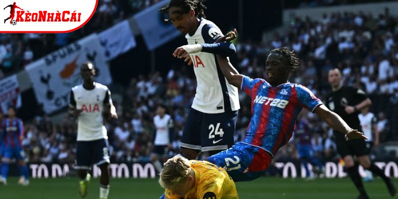 Thành tích so tài khá cân bằng